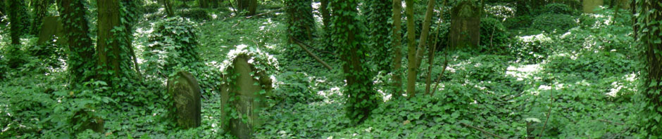 header-5