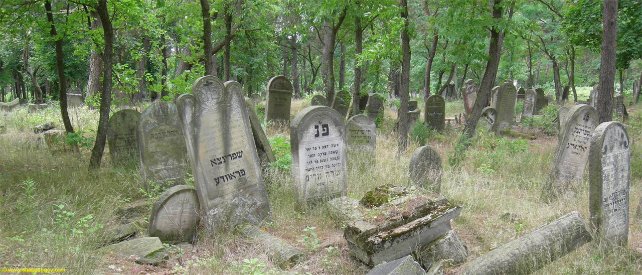 Le cimetière juif de Otwock au sud-est de Varsovie
