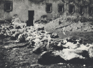 Exhumation de restes humains en 1946 
