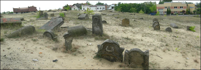 Vue panoramique du cimetière de Karczew