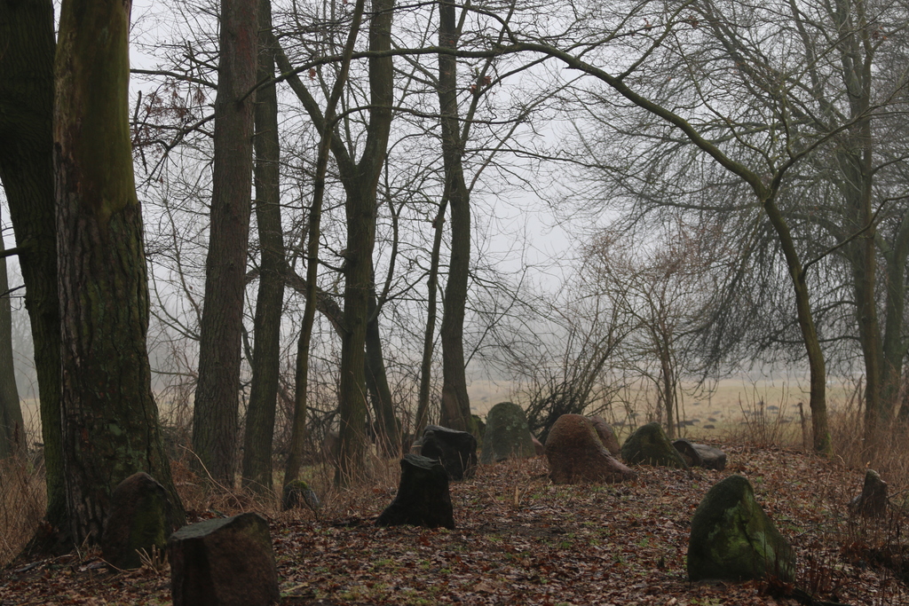 Le cimetière juif de Knyszyn (Cliquer pour agrandir)