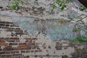 Vestiges de polychromies de la maison de prières du 38 de la rue Targowa
