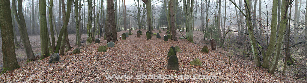 Le cimetière juif de Knyszyn
