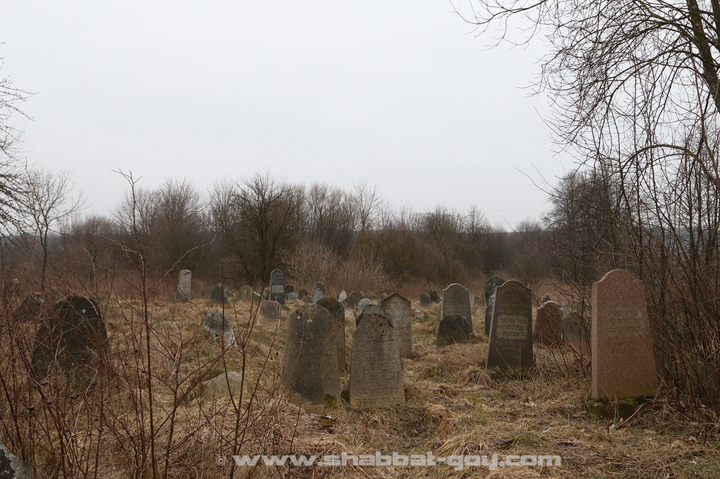 Le cimetière juif de Krynki en région de Podlachie (nord-est)